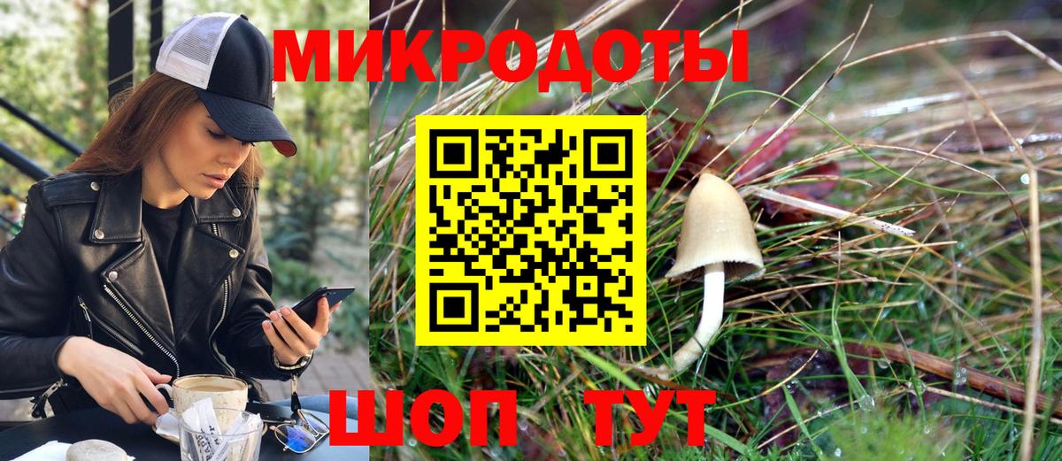 Псилоцибиновые грибы Cubensis  Вход с VPN  Жуковский 