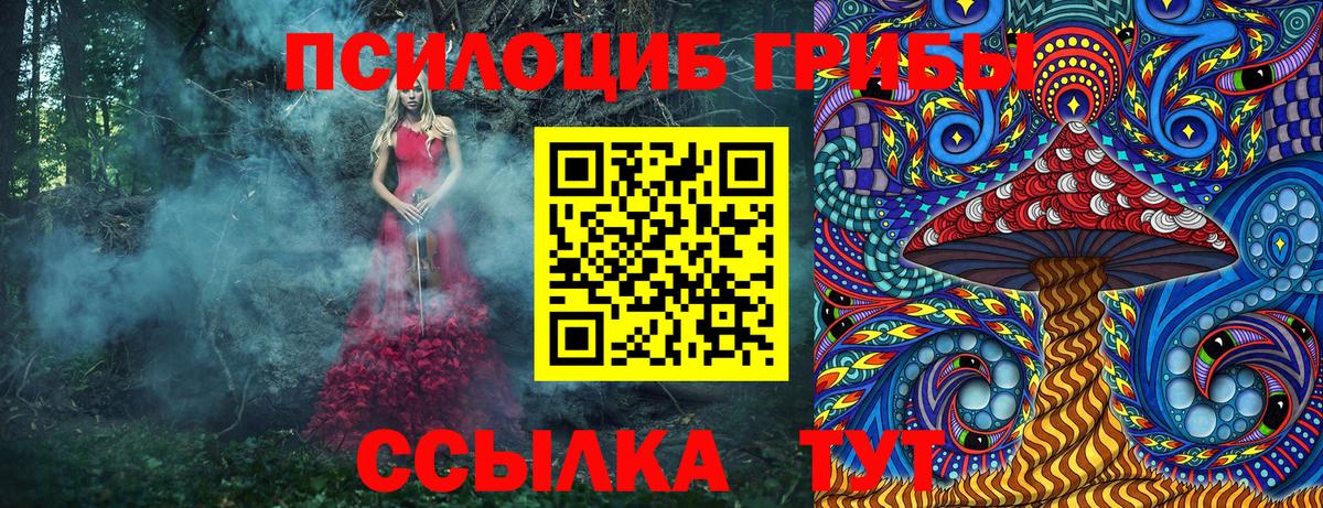 Галлюциногенные грибы Psilocybine cubensis Жуковский